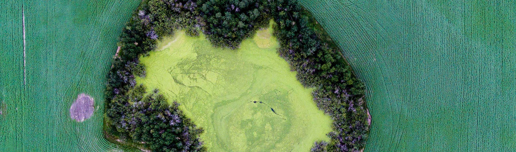 Aerial from Drone