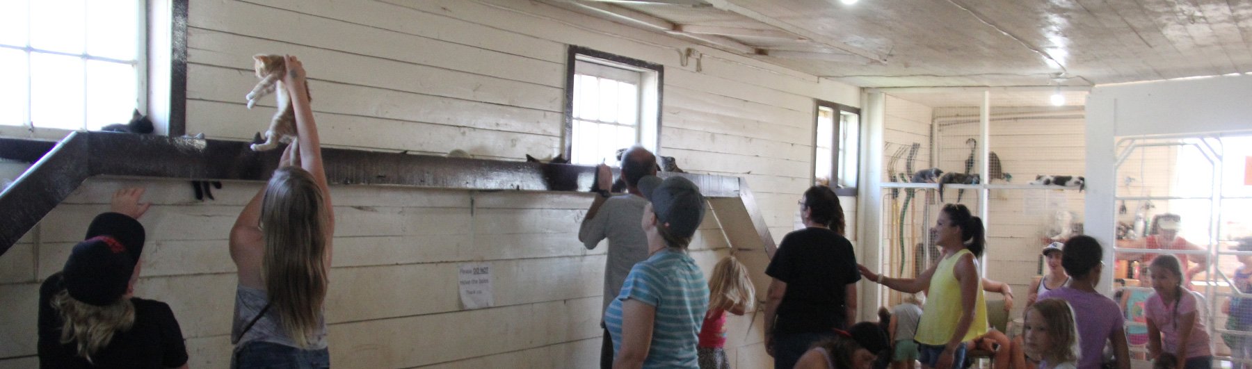 Petting Barn