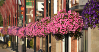 Town of Vermilion
