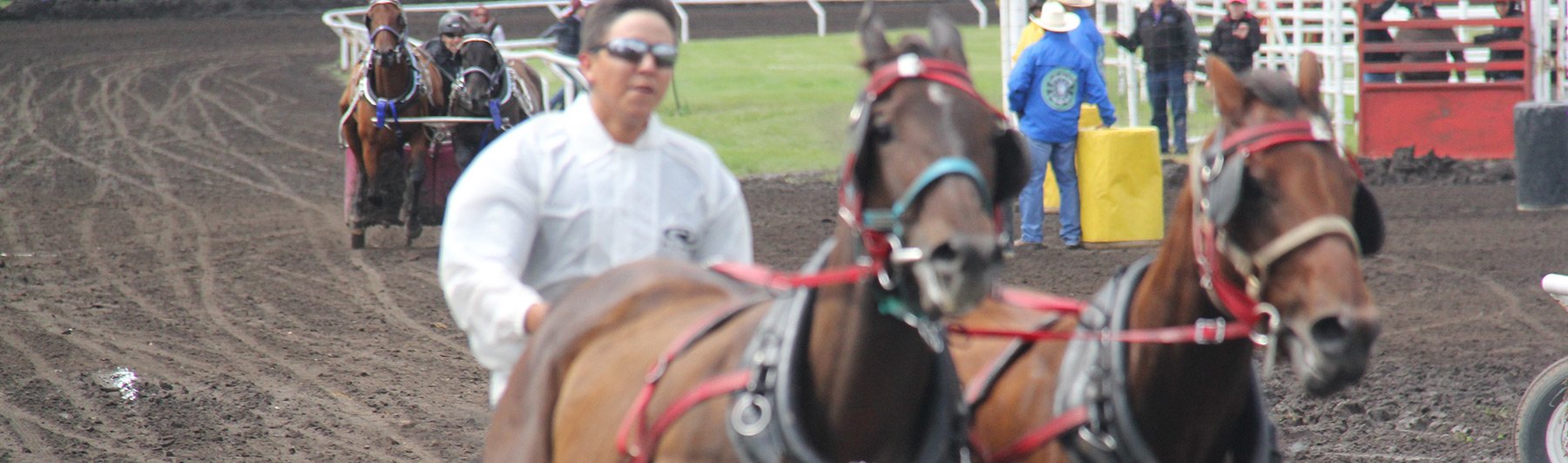 Fair Photo